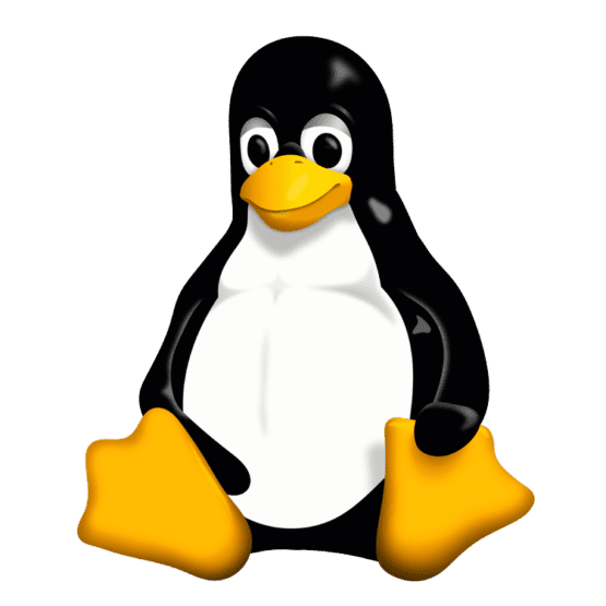linux-penguin-555x555